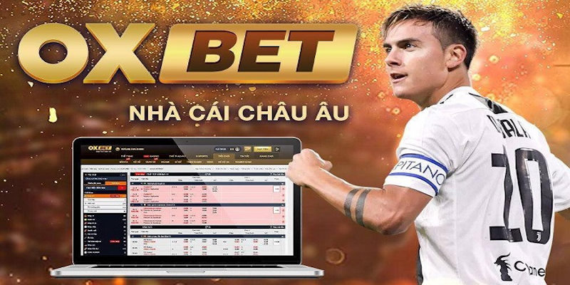 Uy tín trong từng khâu thanh toán giao dịch trên OXBET