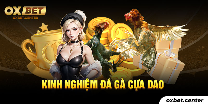 Kinh nghiệm đá gà cựa dao tại OXBET